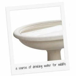 H50cm Clermont Round Cast Stone Bird Bath -Water Features Store DF0728 add image 2 5f8b