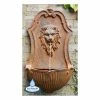 H75cm Gentle Lion Head Wall Fountain | Indoor/Outdoor Use 1 H75cm Gentle Lion Head Wall Fountain | Indoor/Outdoor Use -Water Features Store WF3560 main image d02c