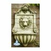 H50cm King Lion Head Wall Fountain - For Indoor/Outdoor Use by Ambienté -Water Features Store WF3561 main image 102e
